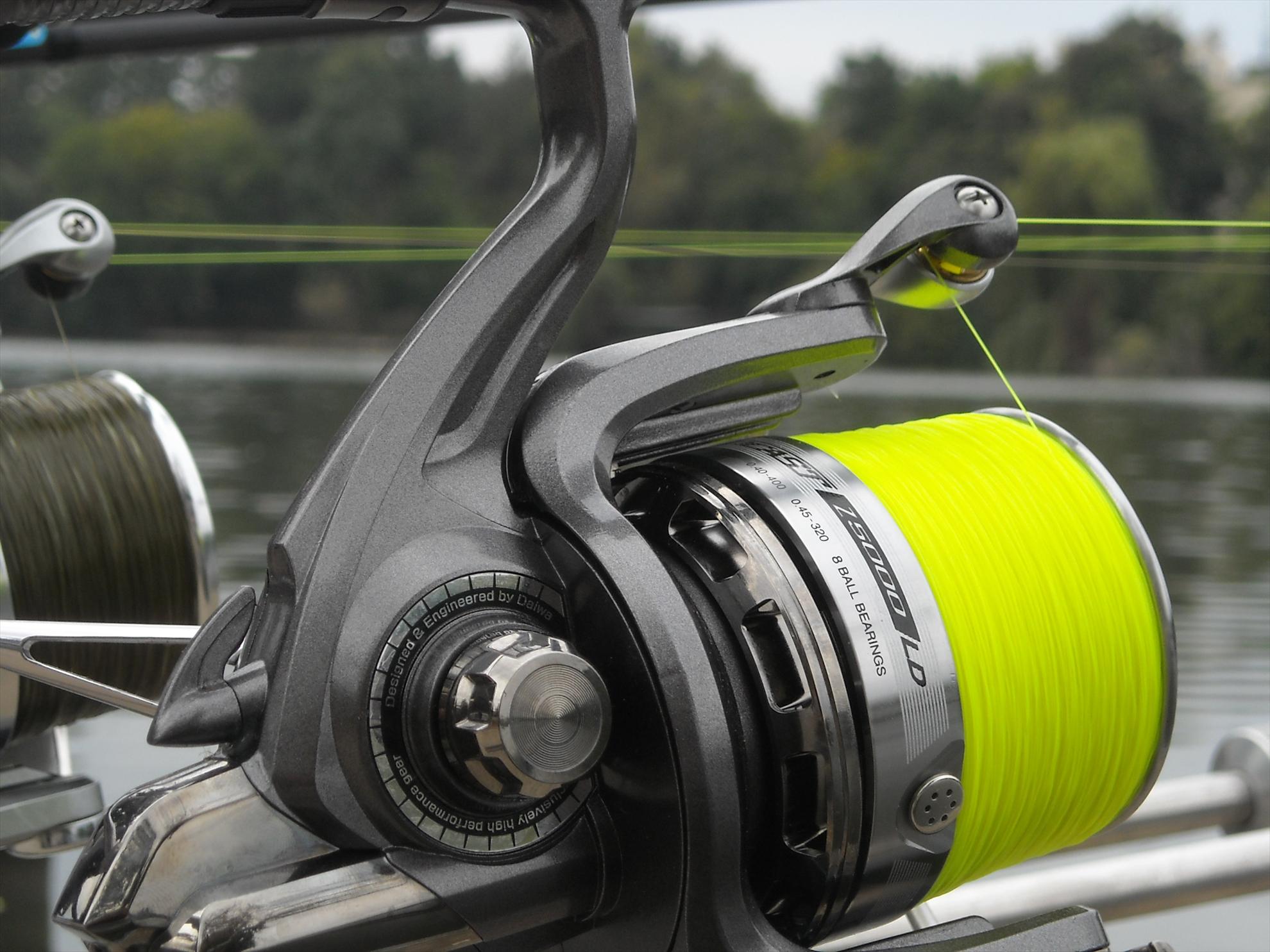 Cupa Bucovina - Floreasca 2010 - dscn8700.jpg